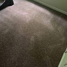 dirty harrys carpet cleaning 11