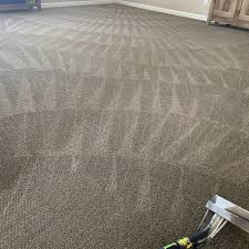 steam carpet cleaning in laramie wy