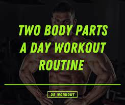 two body parts a day workout routine