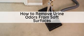 how to remove urine odors from soft