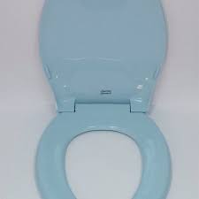 Light Turquoise Elongated Toilet Seat