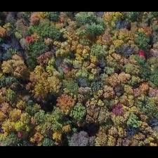 Drone View Of The Fall Colors At Rib Mountain In Wausau