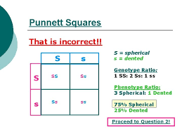 Punnett square are used to predict the possibility of different outcomes. Next Punnett Squares Welcome Welcome To The Wonderful