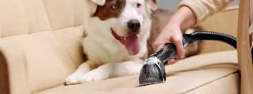 best vacuum for pet hair by