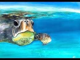 Underwater Sea Turtle In Watercolors