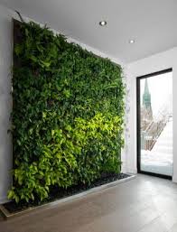 homes ideas living wall green wall