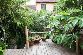 Tropical Garden Plants