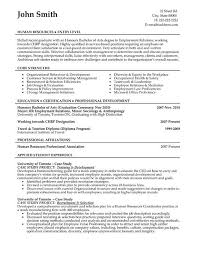 A Resume Template For A Sales And Marketing You Can