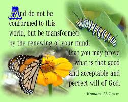Image result for romans 12:2 images free