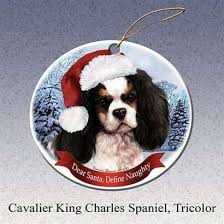 holiday pet gifts cavalier king charles