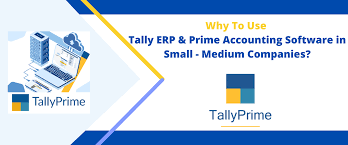 why to use tally erp prime accounting