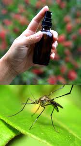 homemade natural mosquito repellent 2