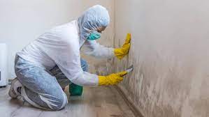 clean and remove mold