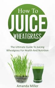 how to juice wheatgr by amanda miller