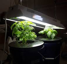 T5 Grow Lights Our Top 7 Picks For 2020 Epic Gardening