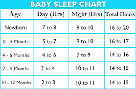 Baby Sleep Timeline Newborn To 12 Months