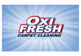 6 best carpet cleaning services saint