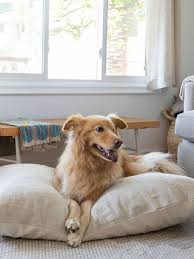 the best looking dog beds for your