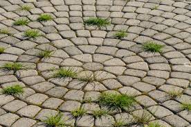 Does Sealing Pavers Prevent Weeds