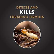 Spectracide Terminate Termite Detection