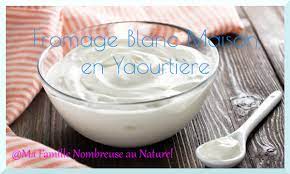 fromage blanc maison en yaourtière