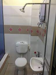 Toilet Shower Combo