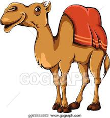 Background orange png is about is about bactrian camel, cartoon, humour, camel, livestock. Vector Stock Camel Clipart Illustration Gg63885883 Gograph