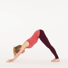 how to do downward dog pose adho
