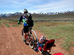 Bicycle Child Carriers 7 Ways To Haul