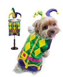 Where To Find Jester Dog Costume Atoya Reviews