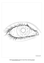 A tineye lab powered by multicolorengine. Eye Anatomy Coloring Pages Free Human Body Coloring Pages Kidadl