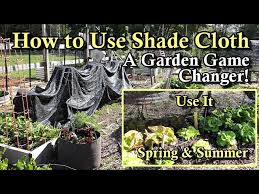 Shade Cloth In The Garden
