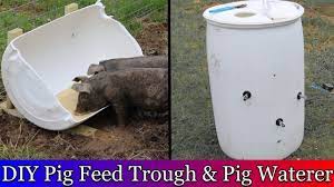 diy pig trough and pig waterer you