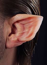 werewolf elf ears prosthetics ready