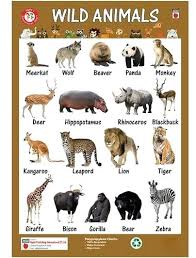 11 Credible Domestic Animals Chart For Kids