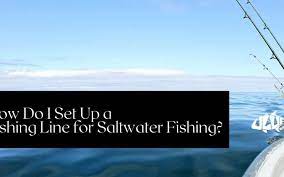 Are you a saltwater fishing fanatic? How Do I Set Up A Fishing Line For Saltwater Fishing Things To Know