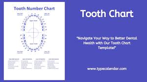 free printable tooth chart templates