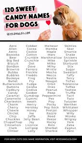 120 sweet candy names for dogs hey