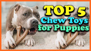 top 5 best chew toys for puppies of