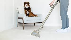 carpet cleaning moorpark ca page 32