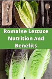 romaine lettuce nutrition and benefits