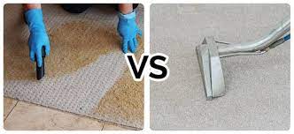 carpet steam cleaning cleaning
