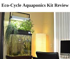 eco cycle aquaponics kit review back