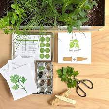 Culinary Herb Garden Maker Herb Starter