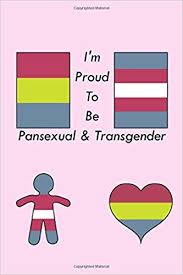 Pansexual may have shot up to merriam webster's most searched term of the day recently when singer janelle monae came out. Amazon Com I M Proud To Be Pansexual Transgender Lined Writing Pride Journal Lgbt Notebook Transgender Notebook Pansexual Gift Bisexual Rights Rainbow Flag 100 Pages 6x9 9781702046152 Notebooks Pride Books