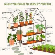 The Easiest Vegetables To Grow In Each