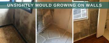 remove mould permanently from walls