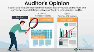 auditor s opinion definition types