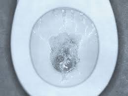 white particles in urine causes
