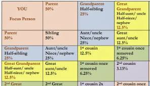 Debs Delvings In Genealogy Percentage Shared Atdna Chart